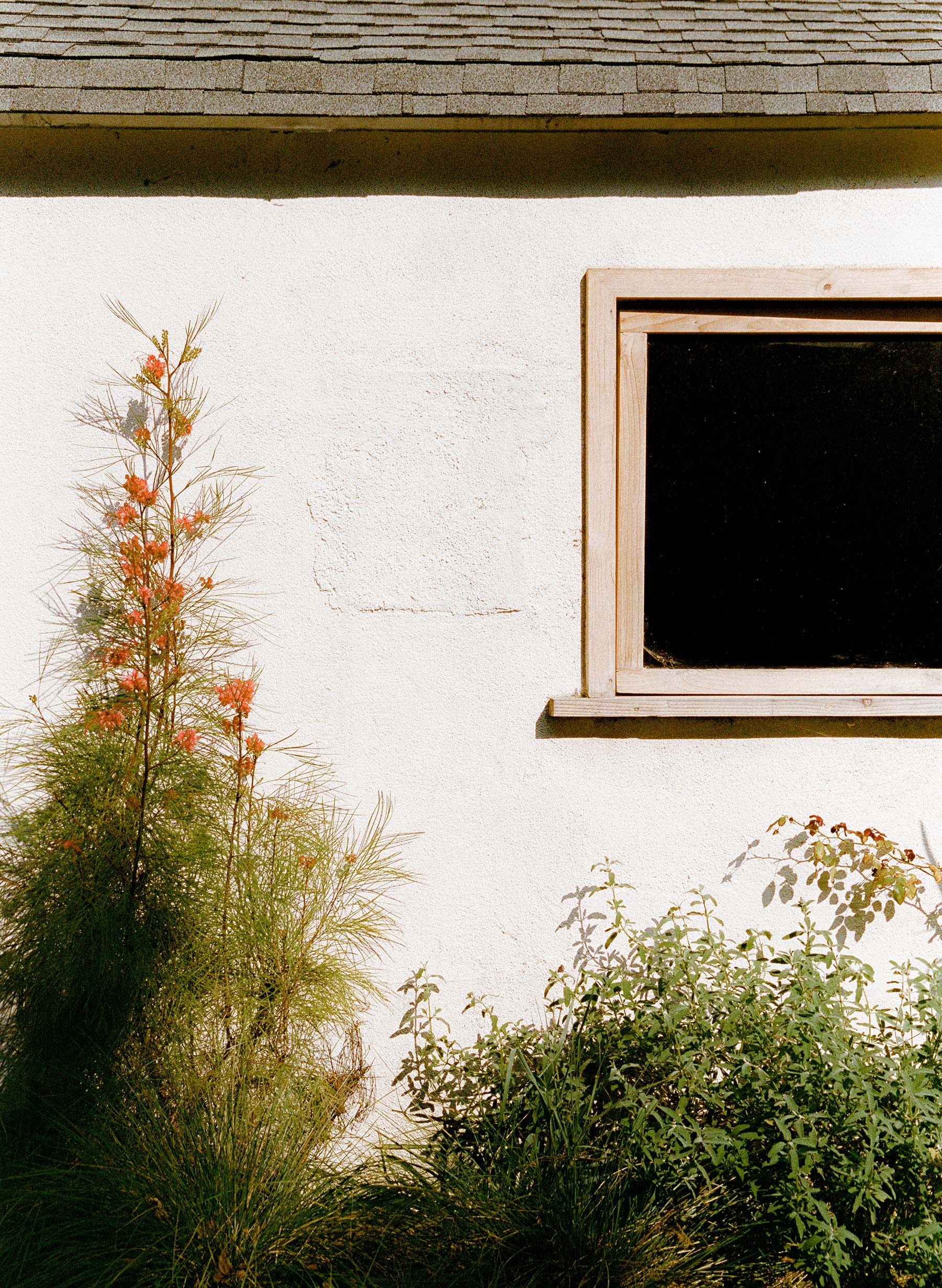 catherine abilene - Image 5