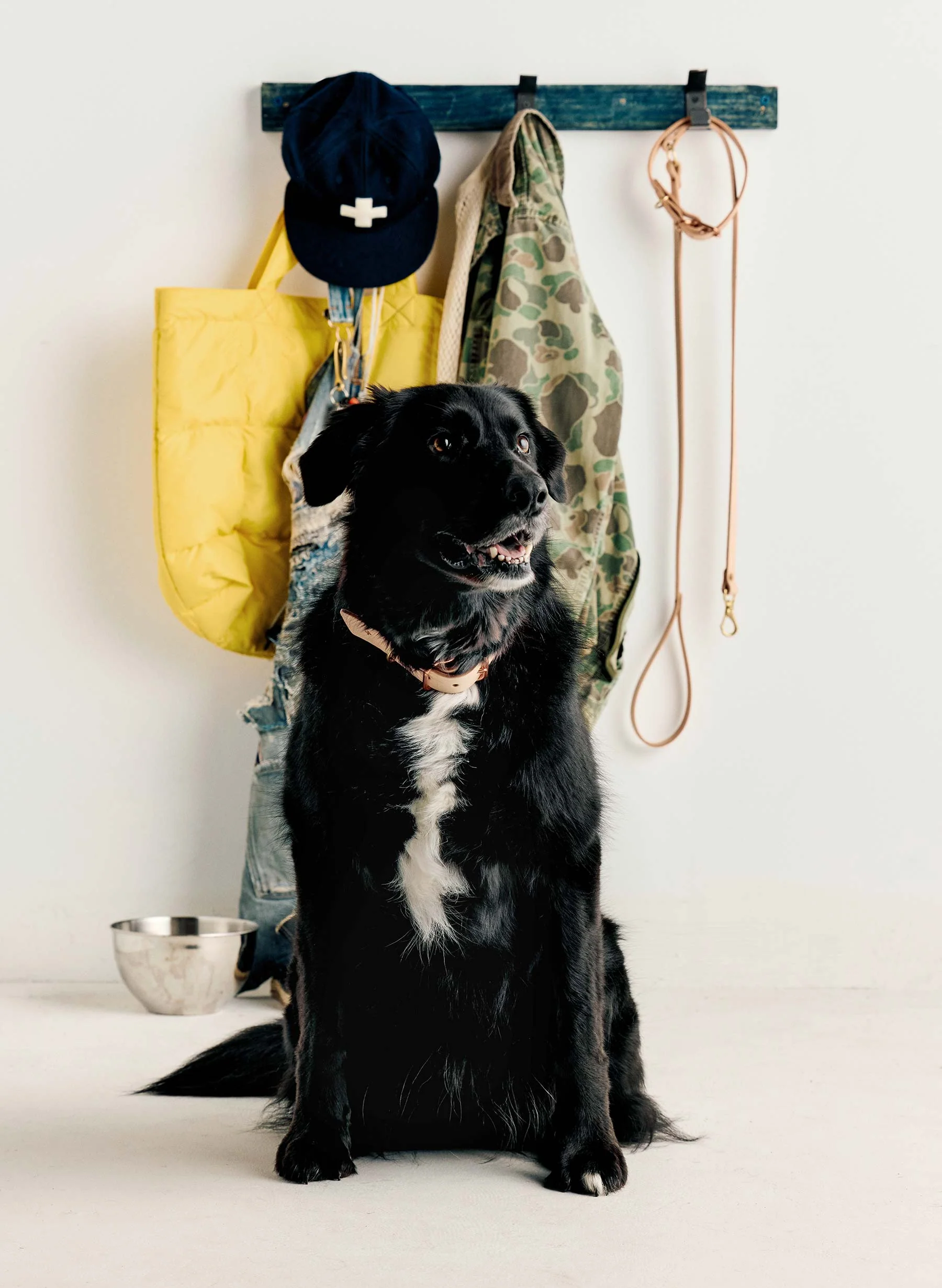 emil erwin x i+w dog leash - Image 2