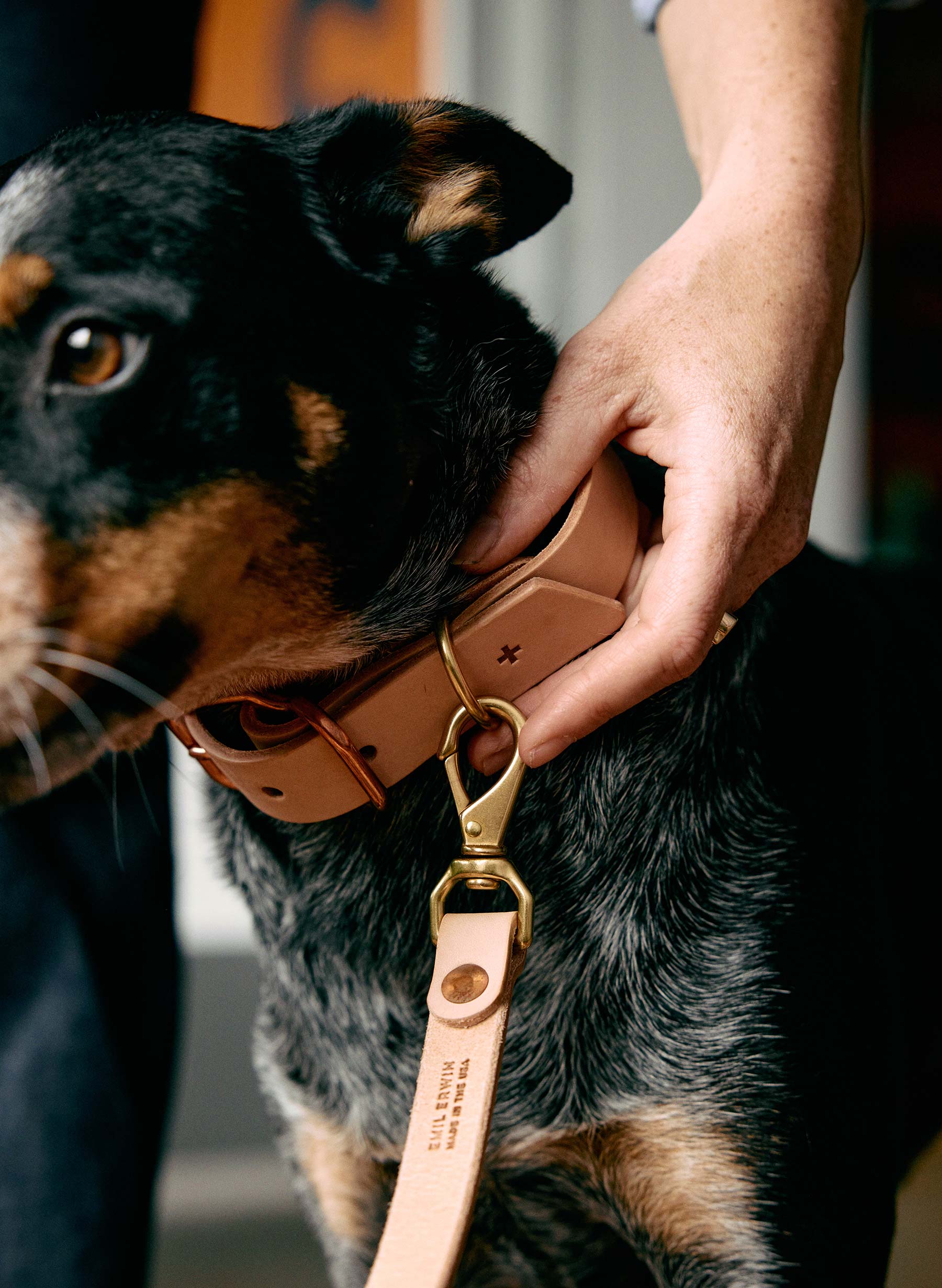 emil erwin x i+w dog leash - Image 4