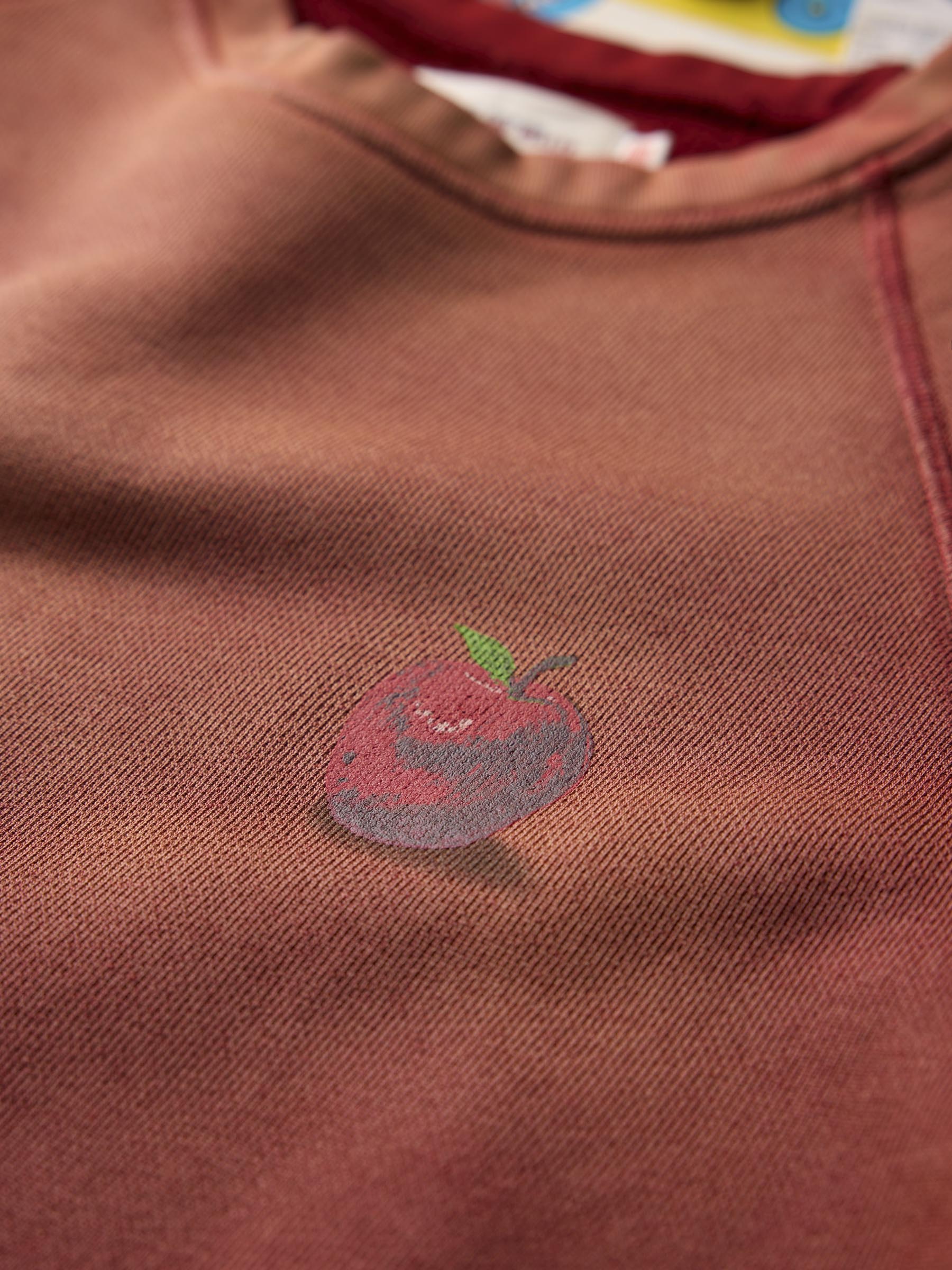 the "forbidden fruit" raglan crew - Image 5